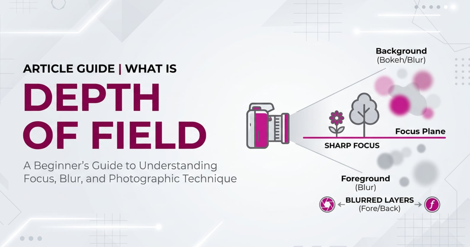 What Is Depth of Field and How To Control It Like a Pro