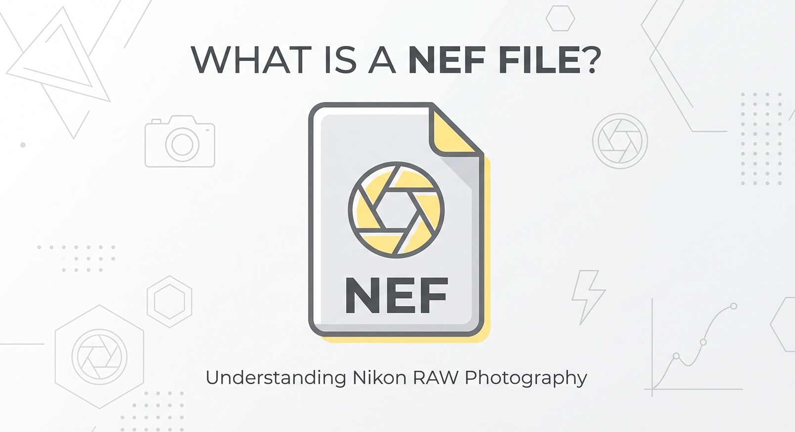File NEF: Cos'è e Come Aprire, Convertire e Riparare