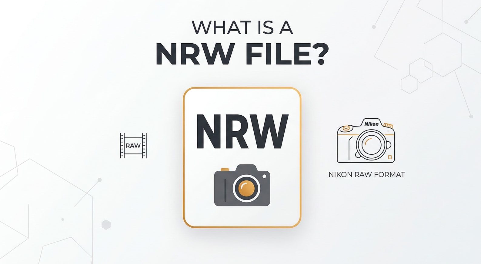What Is NRW File Format and How to Work With Nikon NRW Photos