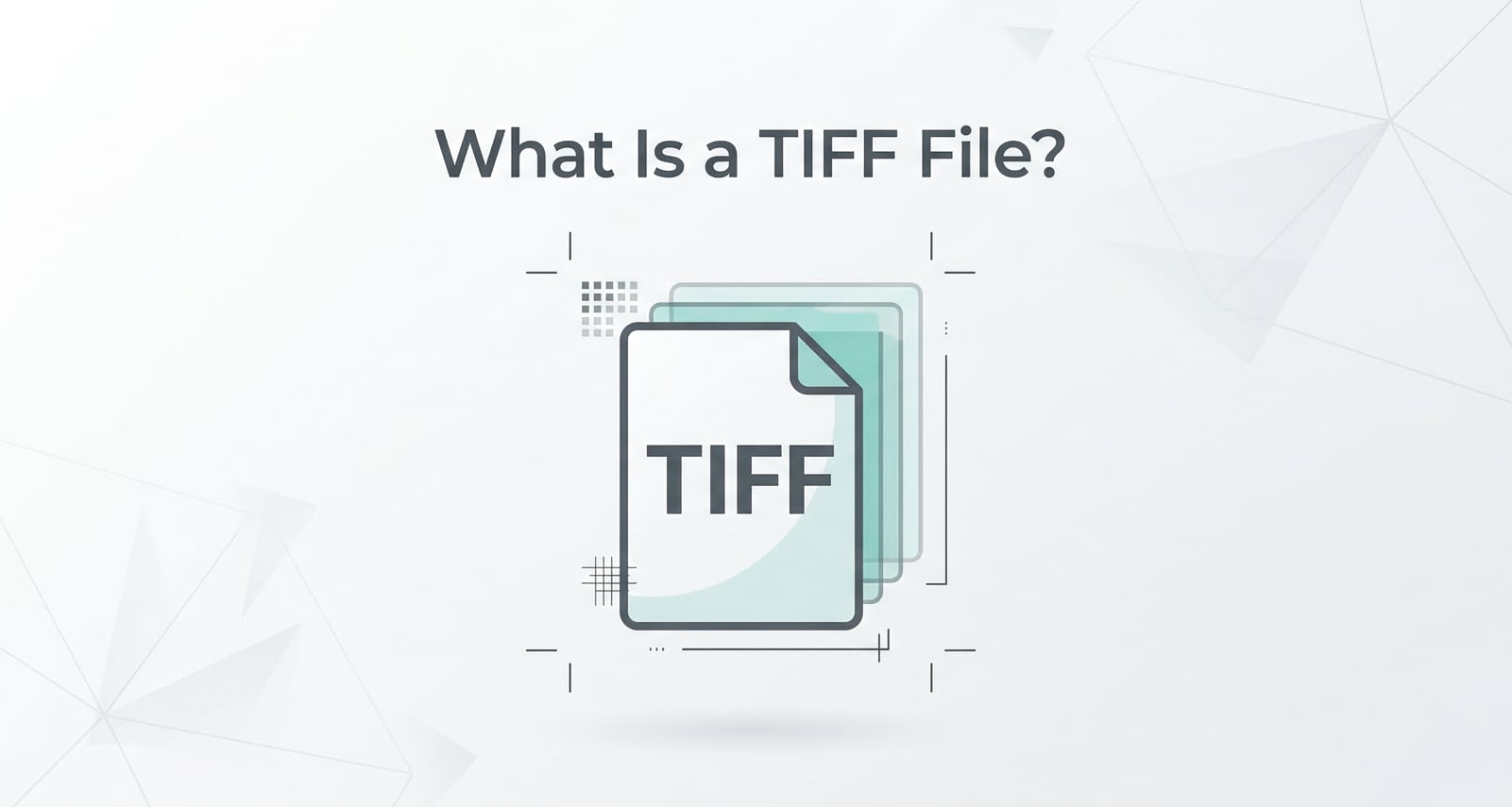 What Is TIFF File: Understanding This High-Quality Image Format