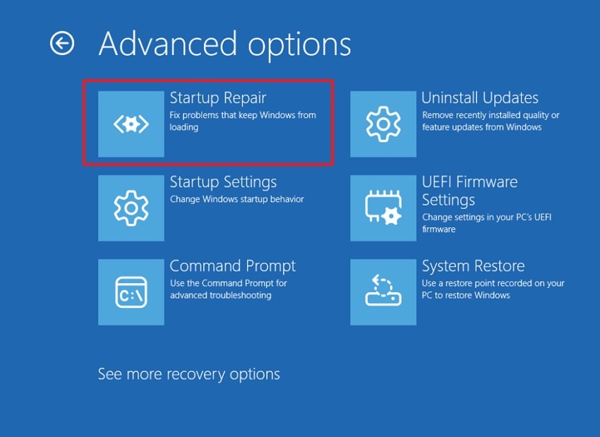 choose the startup repair
