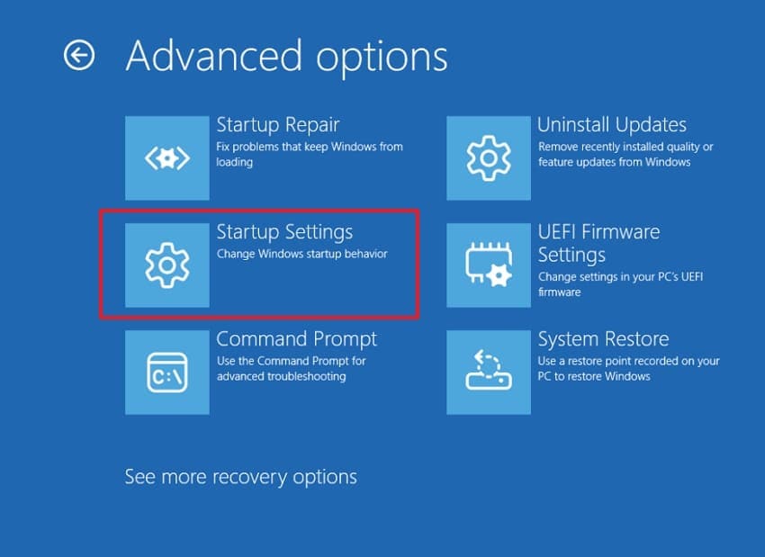access winre advanced option