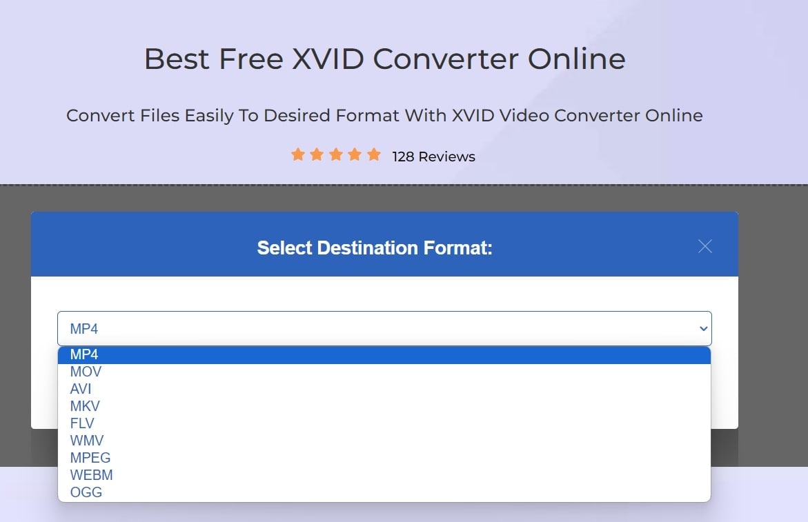 xvid video codec converter