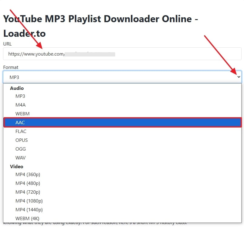 paste url and pick format