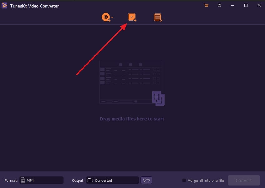 access video icon tuneskit