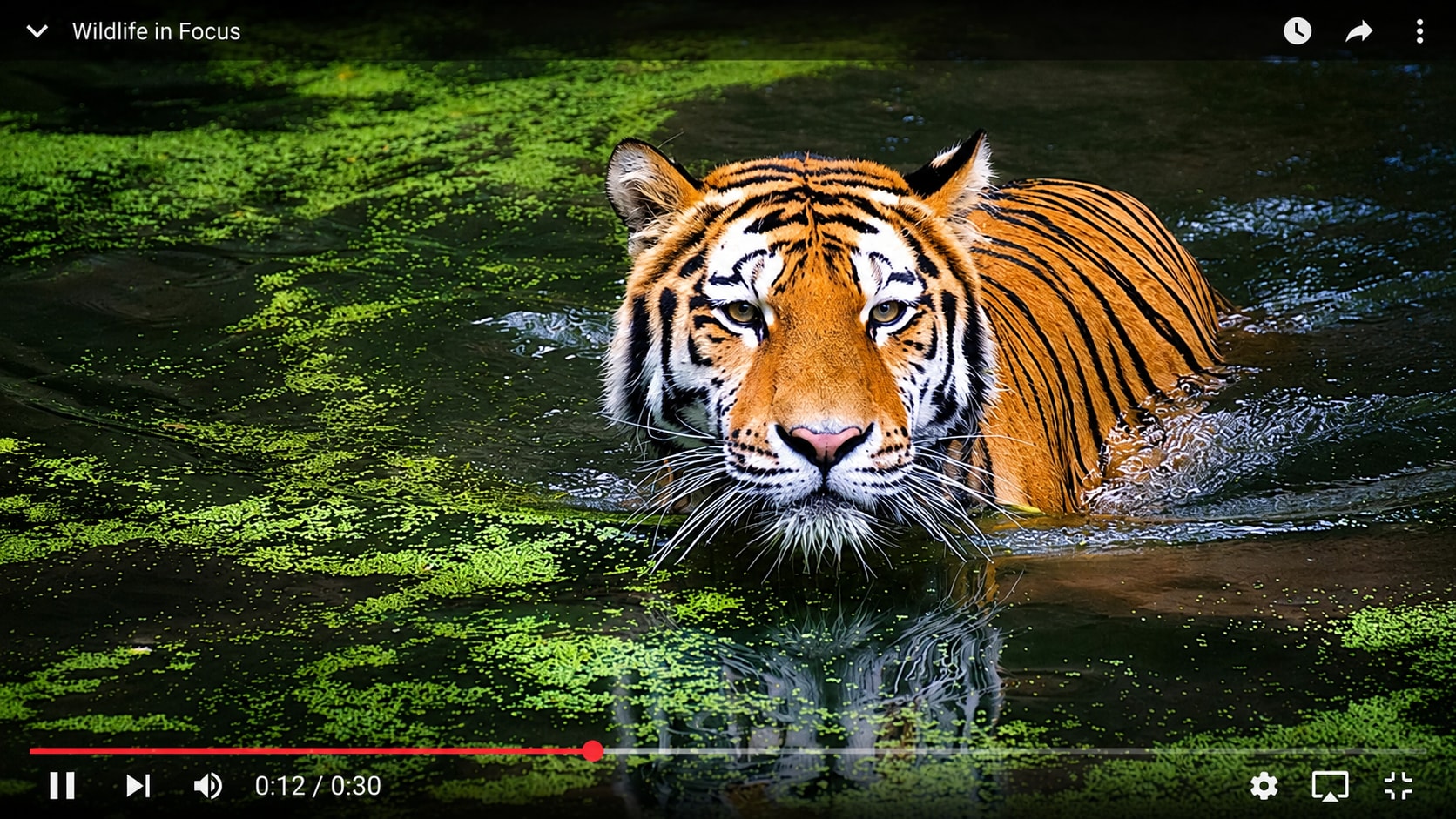 youtube video buffering after