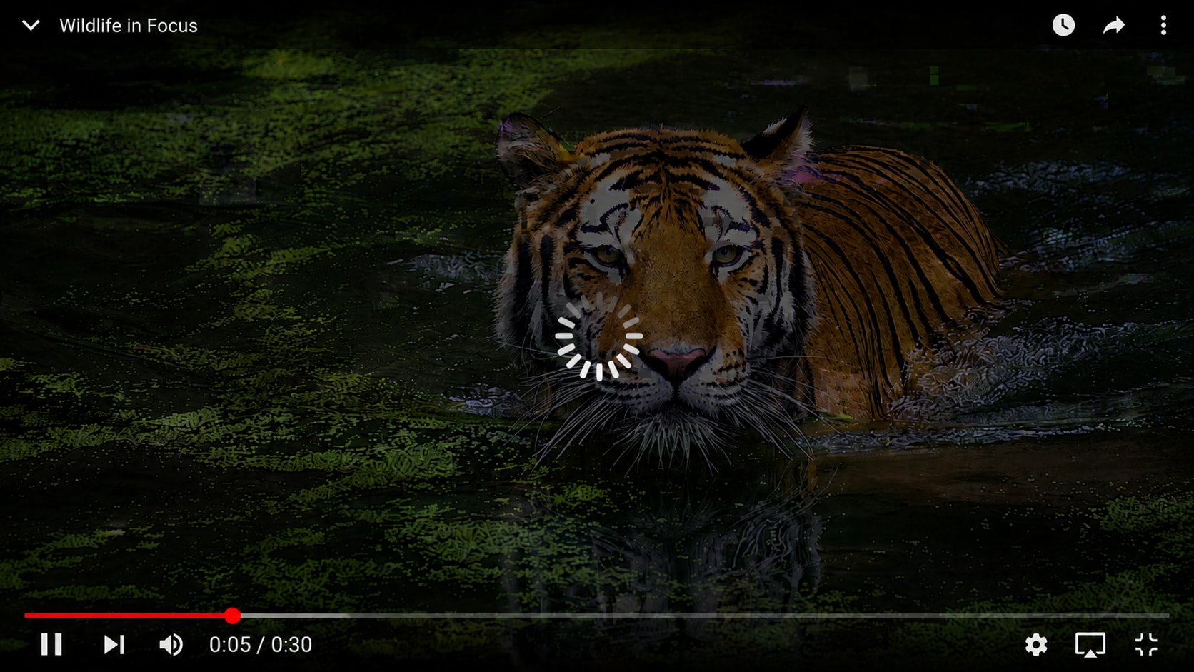 youtube video buffering before