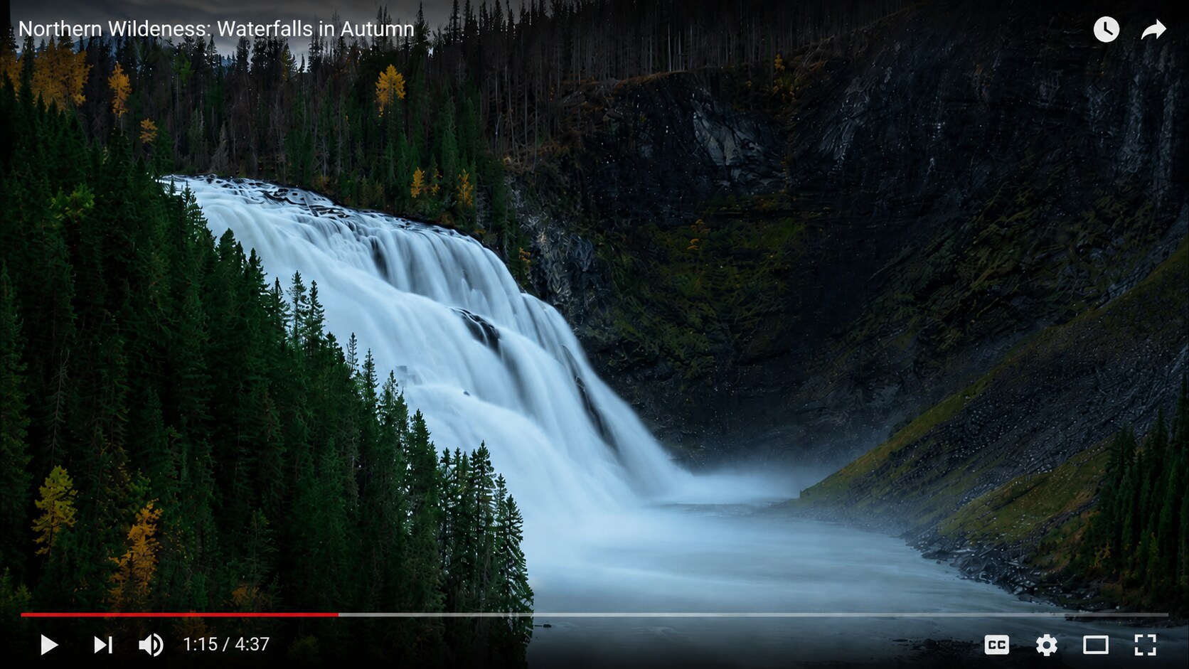 youtube video freezes after