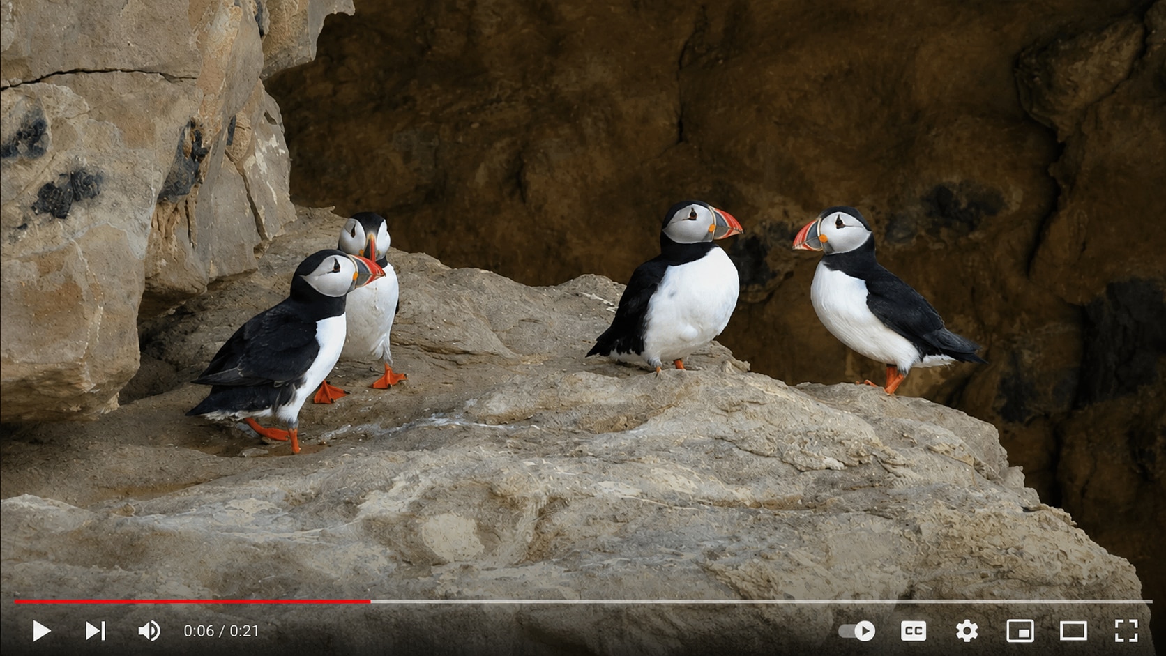 youtube videos are lagging after