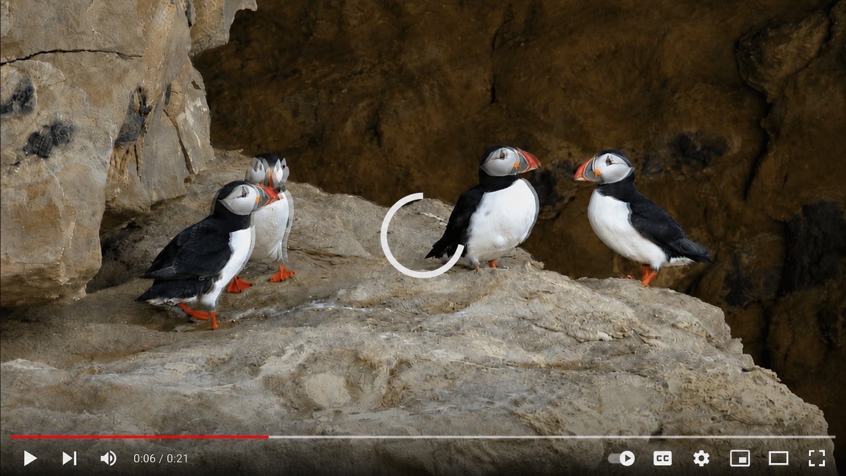youtube videos are lagging before