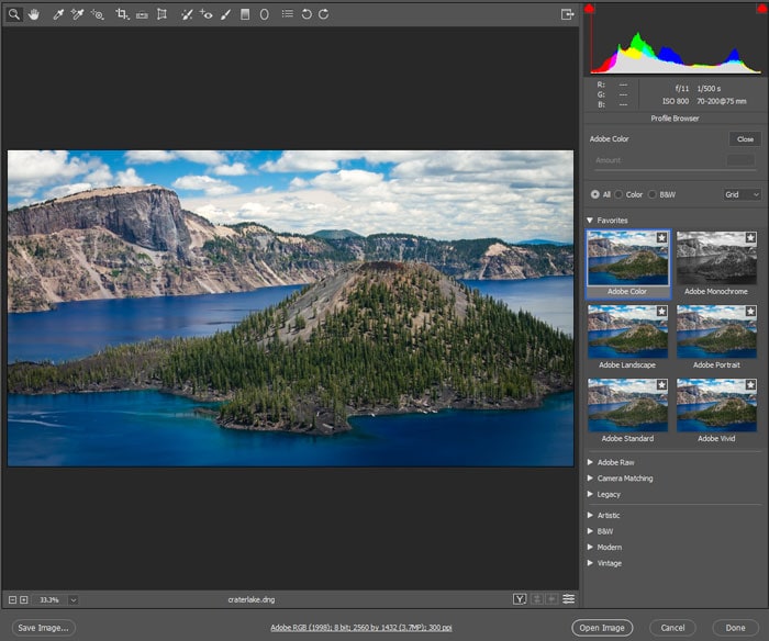 adobe camera raw interface