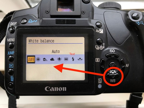 setting the white balance in the camera