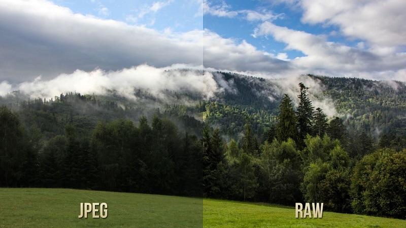 RAW 和 JPEG 比较