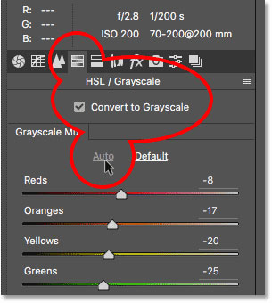 switch to grayscale to fix camera taking black pictures