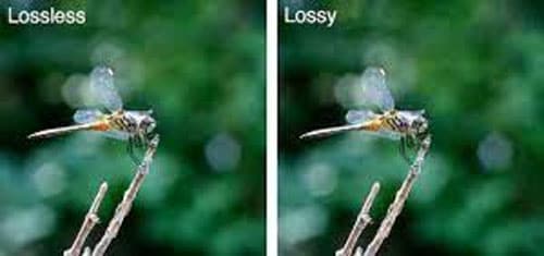 lossy vs lossless picture