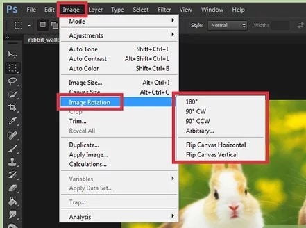 Photoshop Rotate Options