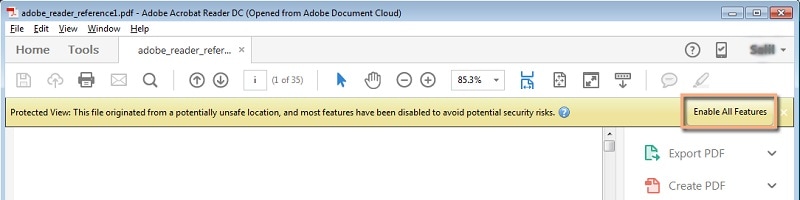 : PDF Protected View
