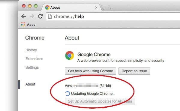 chrome will search for updates automatically