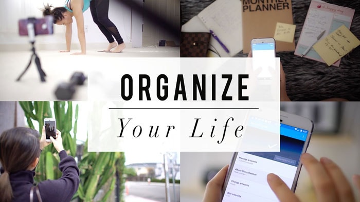 organize sua vida