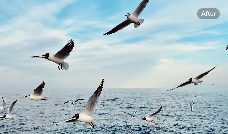 pixelated or blurry jpg jpeg images