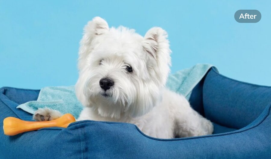 pixelated or blurry png images after