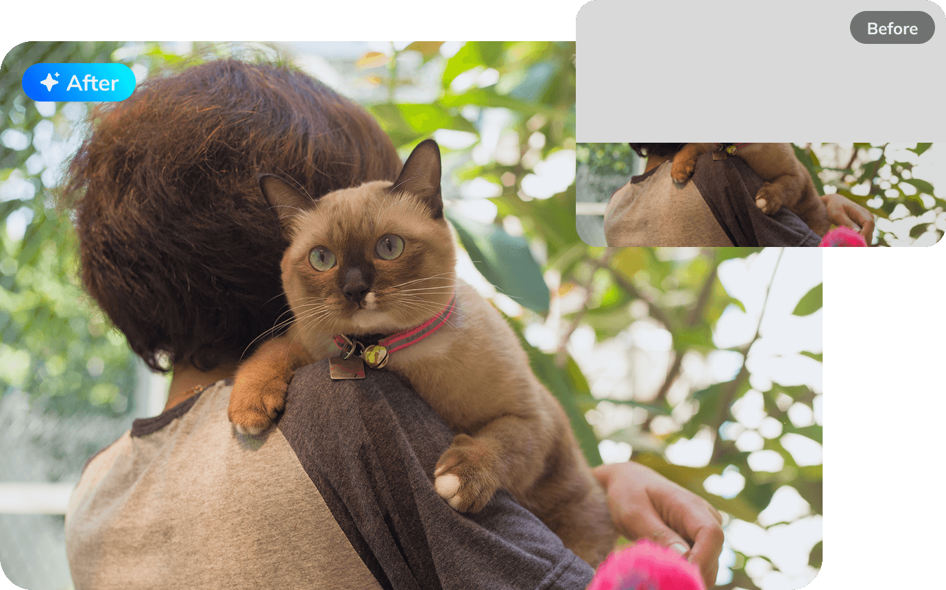 repair damaged photos online free