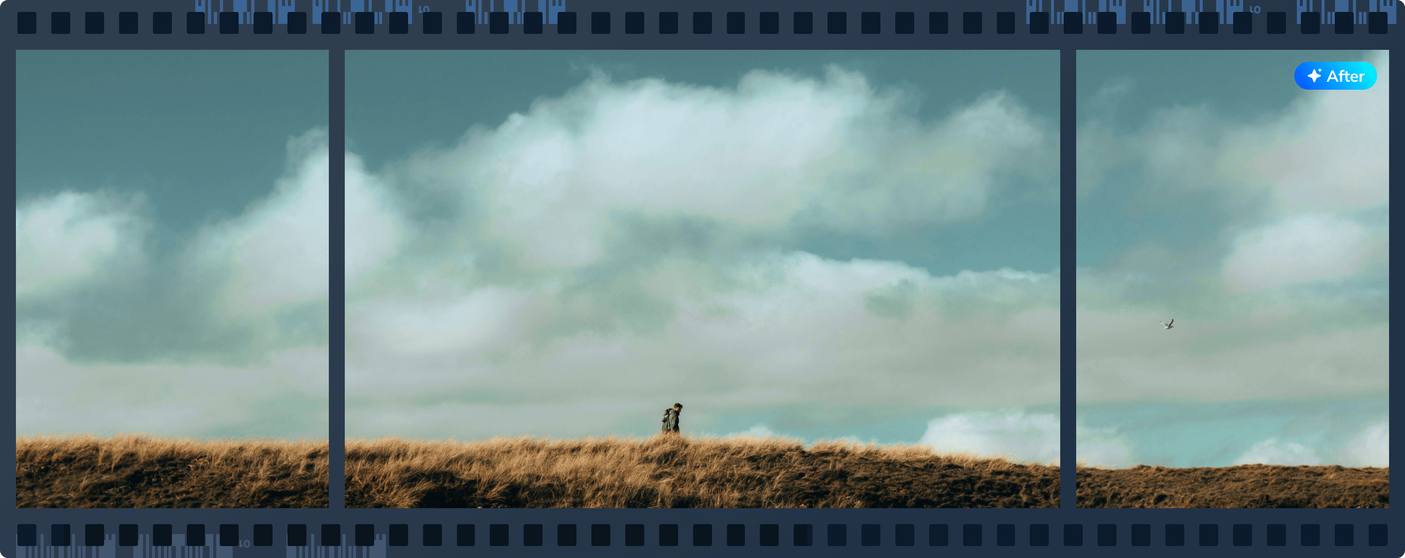 fujifilm black white photo colorization after