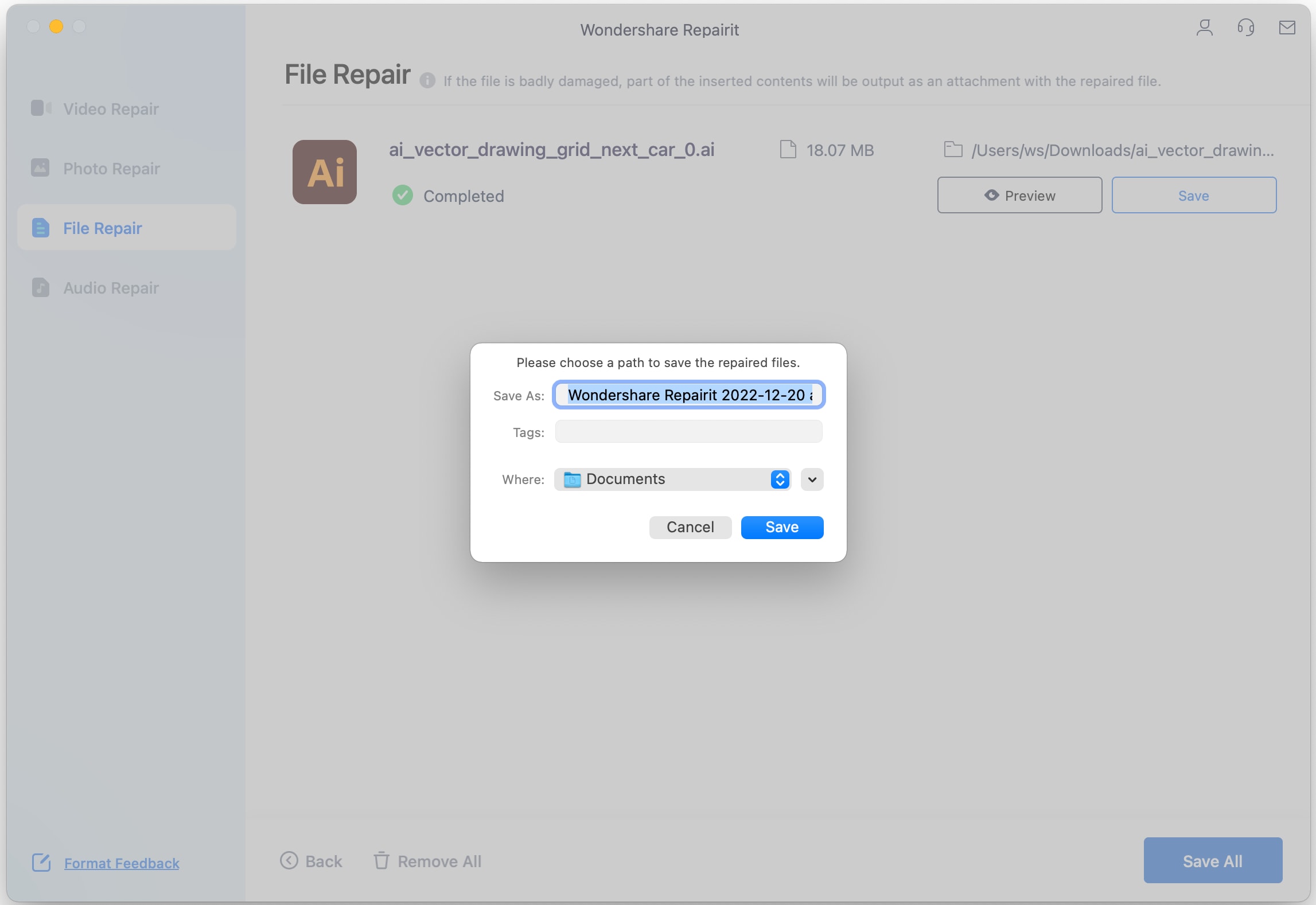 save the repaired adobe files on mac