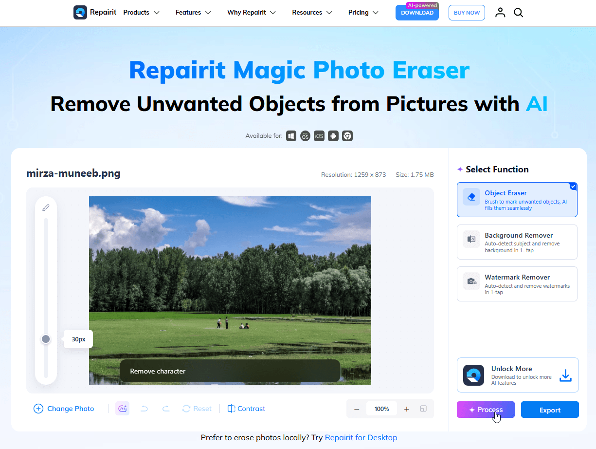 ai prompt to erase photo online