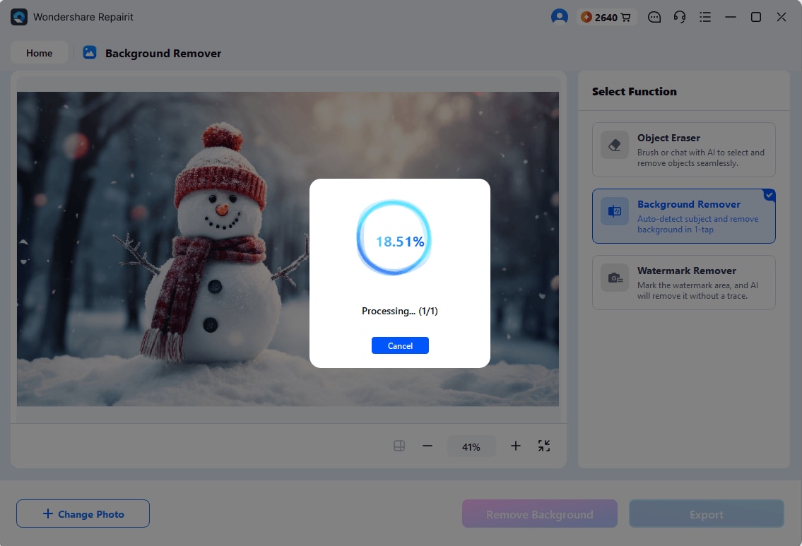 background remover processing