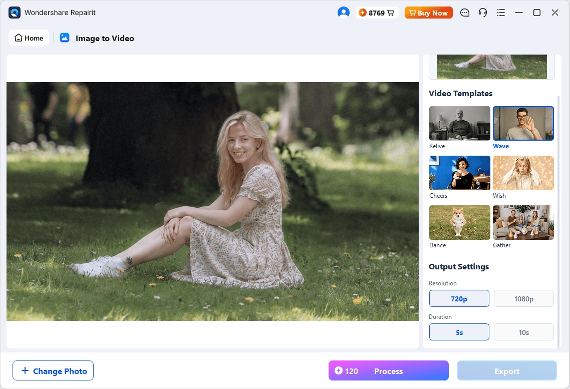 choose video templates and output