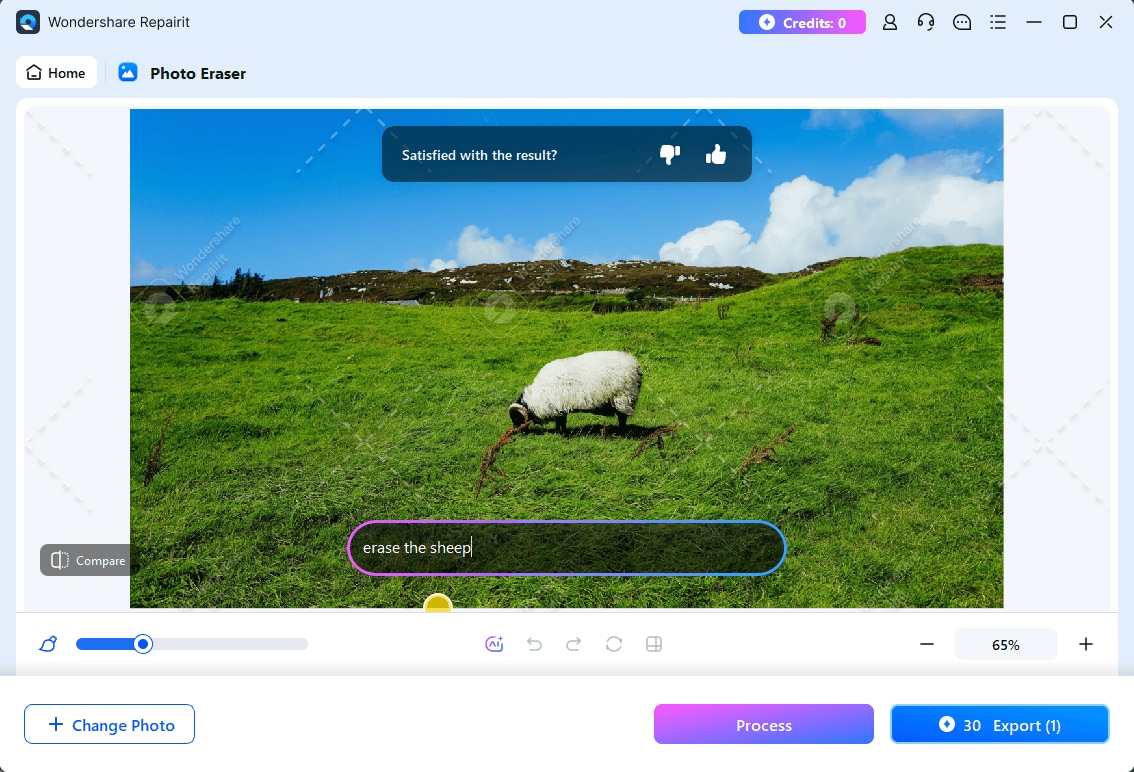 input ai prompt to erase