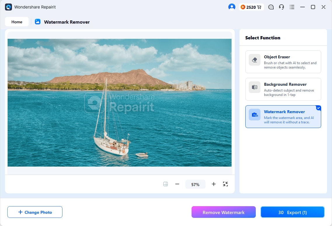 watermark remover processed