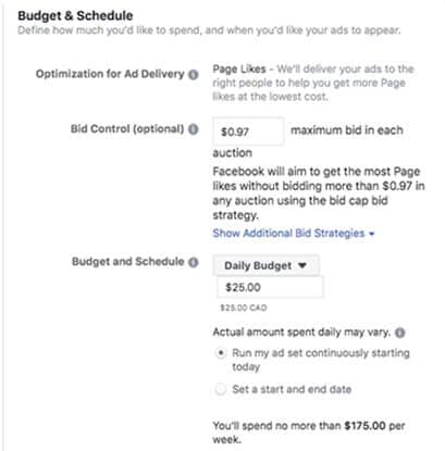 Budgeting and Scheduling a Facebook ad