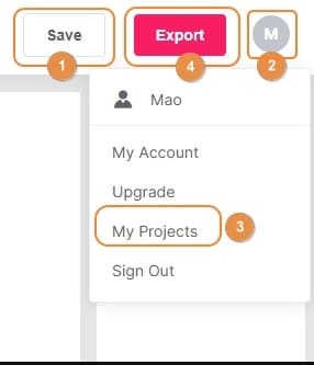 Export the video