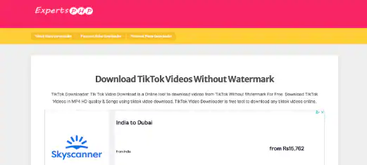 ttdowanloader-tiktok-video-downloader