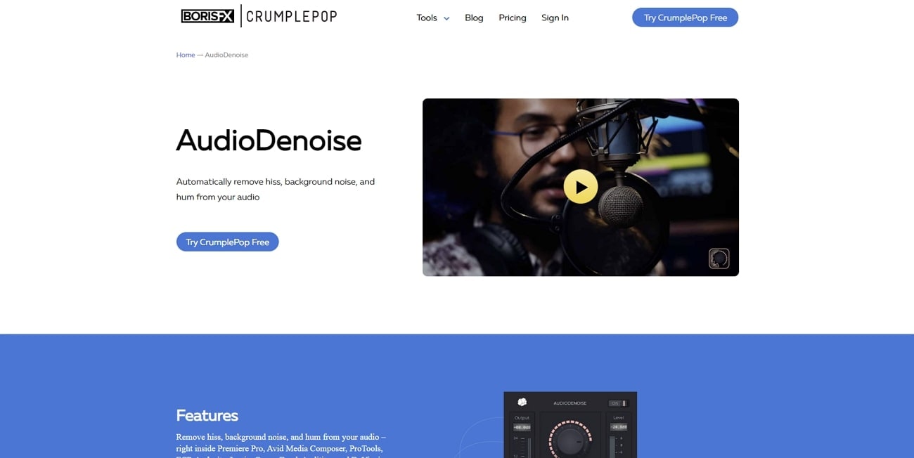  crumplepop reduce noise premiere pro plugin