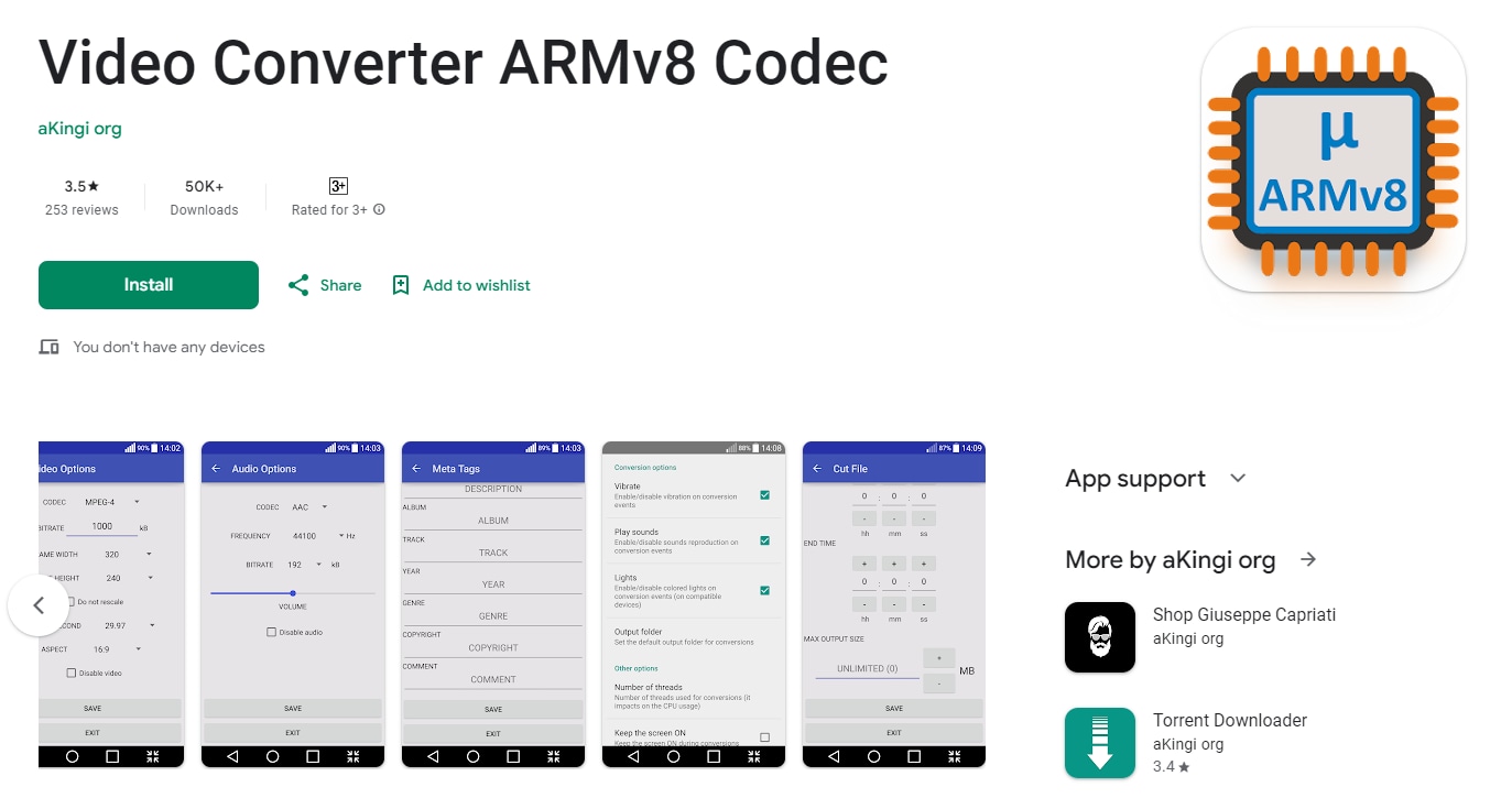 Video Converter ARMv8 Codec