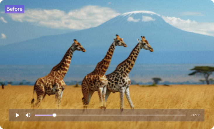 convert video to 4k before