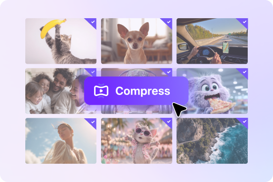 batch video compressor
