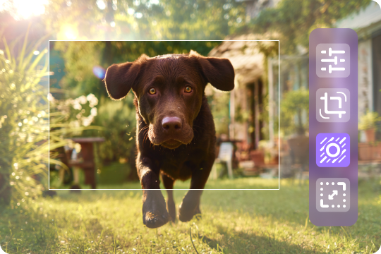 more than glare and reflection removal