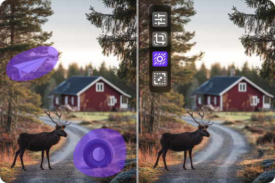 more than an ai object remover