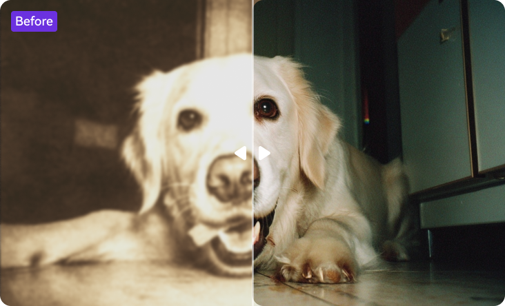 restore faded photos with ai