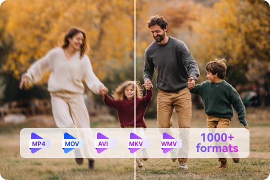 multi format supported video cleaner