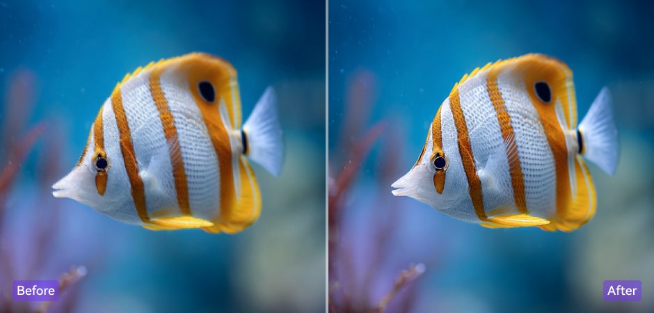 depixelate image for photographers