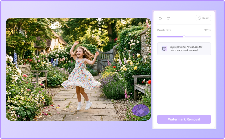 brush over gemini watermark area online