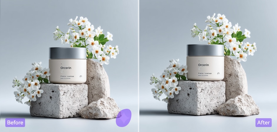 remove gemini logo from product concepts and mockups