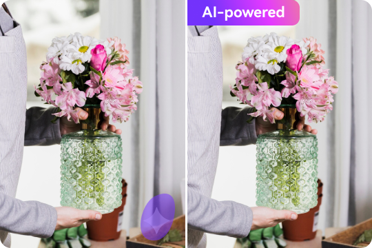 ai powered gemini watermark removal