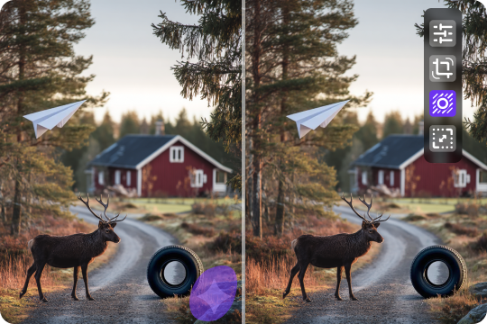 more than a gemini watermark remover