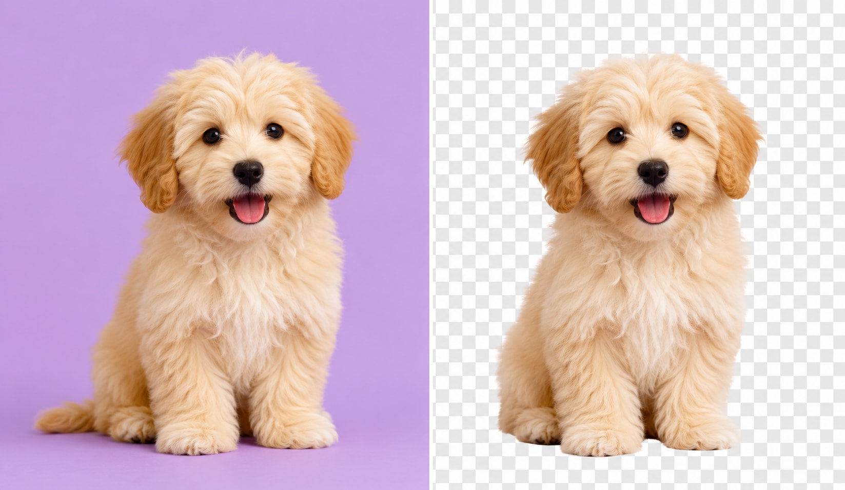 remove color from image